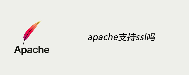 apache支持ssl吗