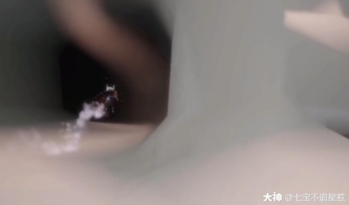 光遇扫把头先祖位置攻略