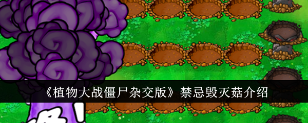 《植物大战僵尸杂交版》禁忌毁灭菇介绍