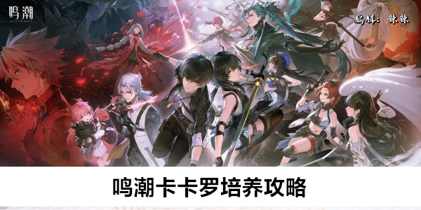 《鸣潮》卡卡罗培养攻略