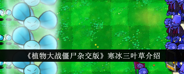 《植物大战僵尸杂交版》寒冰三叶草介绍