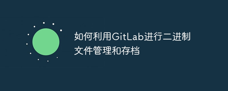 如何利用GitLab进行二进制文件管理和存档