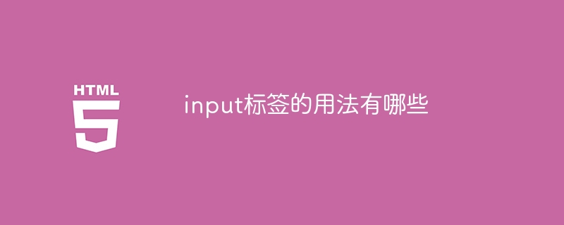 input标签的用法有哪些