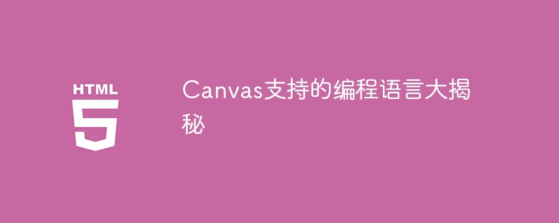 揭秘Canvas支持的编程语言终极指南
