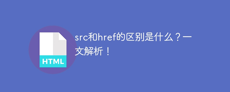 src和href的区别是什么？一文解析！