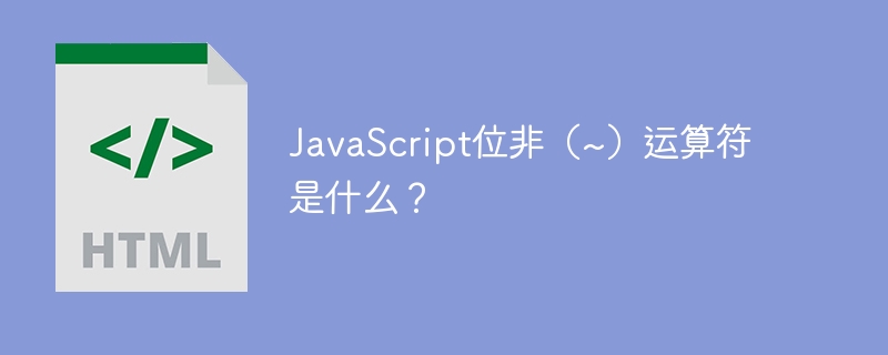 JavaScript位非（~）运算符是什么？