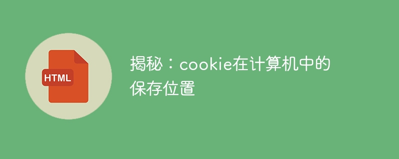 揭秘：cookie在计算机中的保存位置