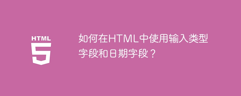 如何在html中使用输入类型字段和日期字段？