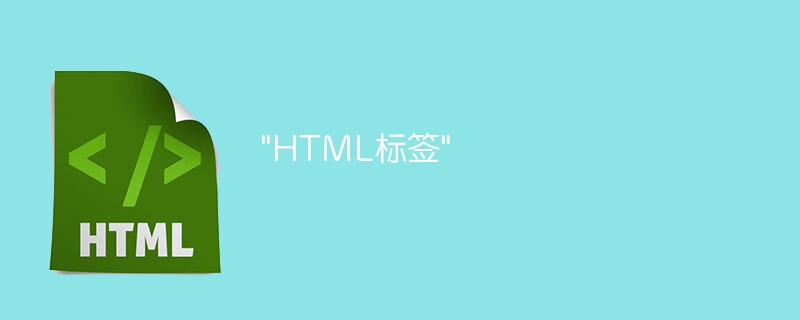 &quot;HTML标签&quot;