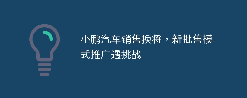 小鹏汽车销售换将，新批售模式推广遇挑战