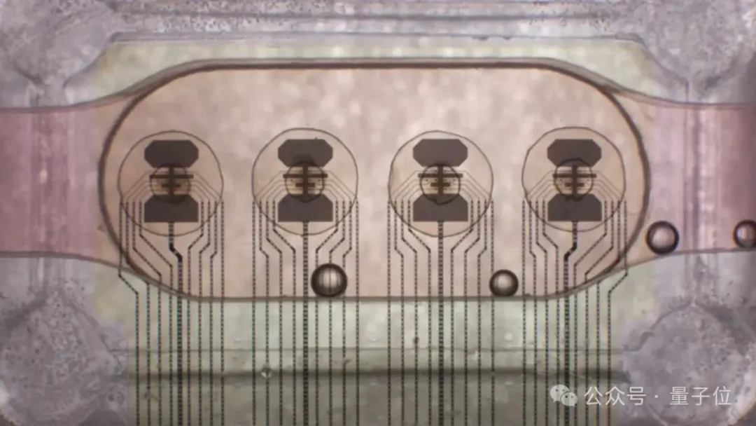 活体脑细胞做成16核芯片，用Python就能编程，九个机构开展实验36所大学排队