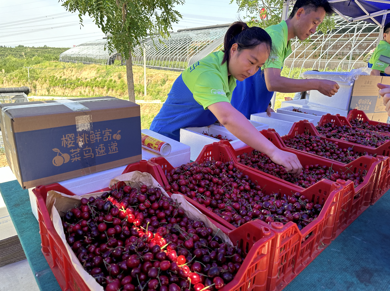 菜鸟速递回应生鲜平价寄：时效控制在48小时内 让成本可控
