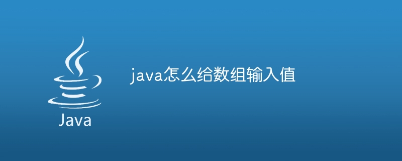 java怎么给数组输入值