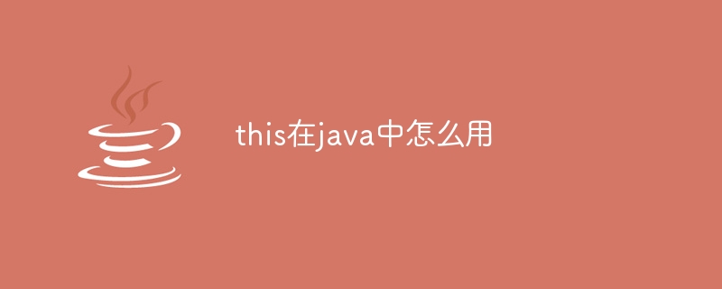 this在java中怎么用