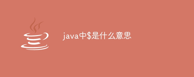 java中$是什么意思