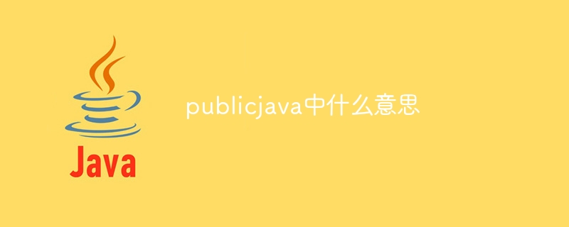 publicjava中什么意思