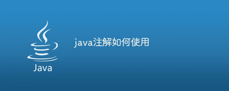 java注解如何使用