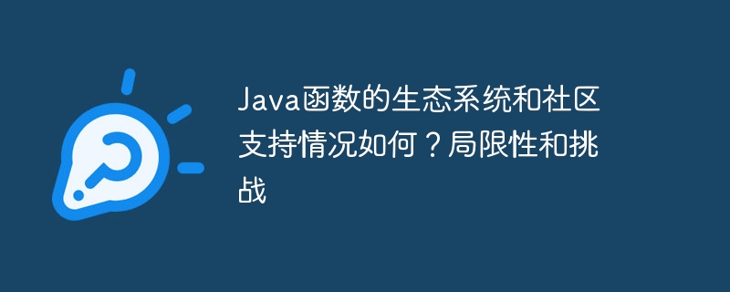 Java函数的生态系统和社区支持情况如何？局限性和挑战