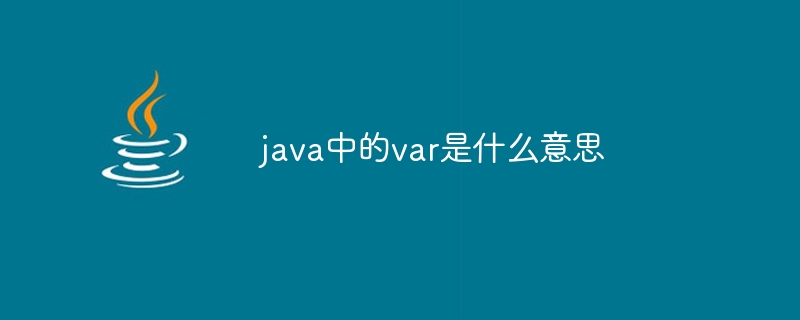 java中的var是什么意思