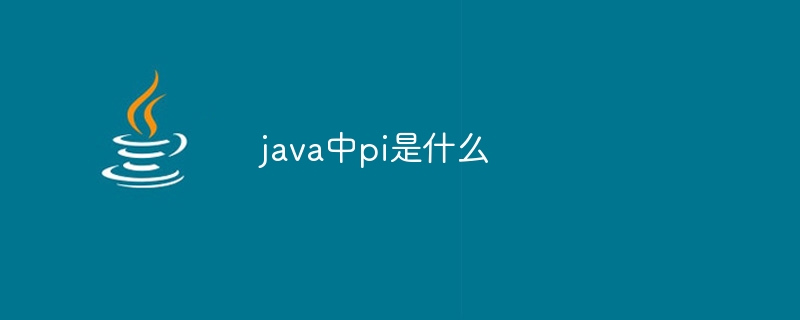 java中pi是什么