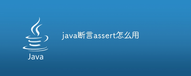 java断言assert怎么用