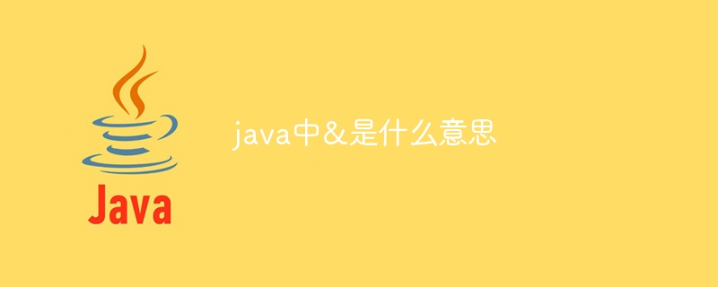 java中&是什么意思