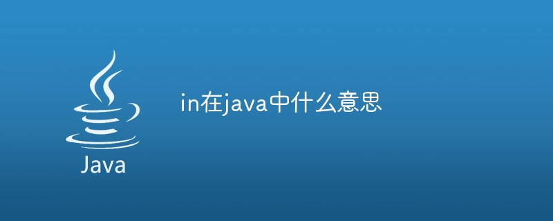 in在java中什么意思