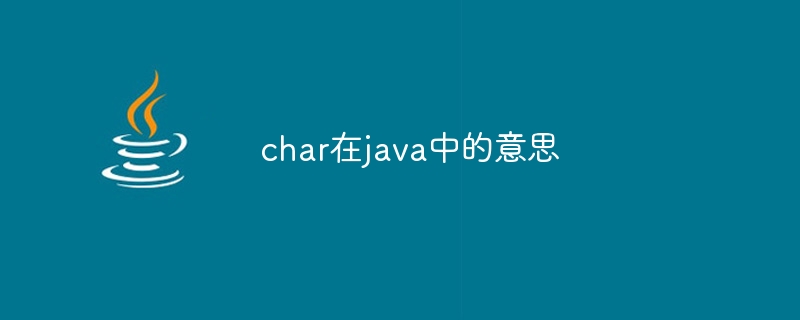 char在java中的意思