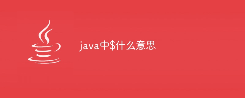 java中$什么意思