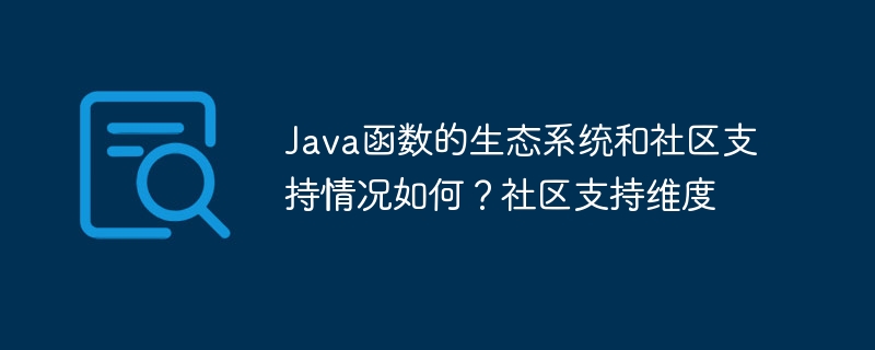 Java函数的生态系统和社区支持情况如何？社区支持维度