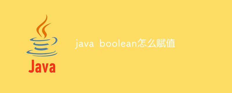 java boolean怎么赋值