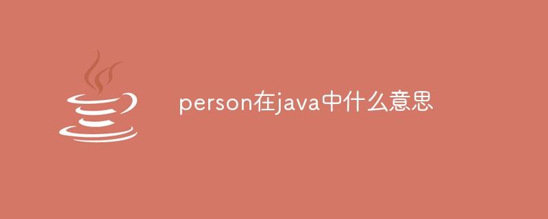 person在java中什么意思