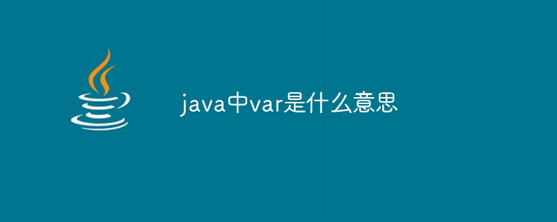 java中var是什么意思