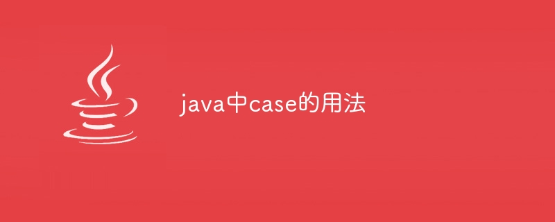 java中case的用法