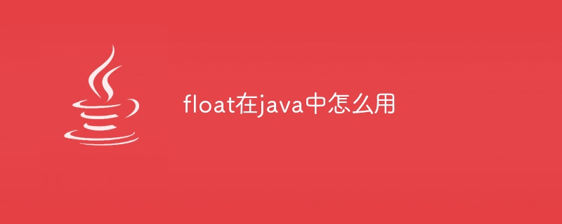 float在java中怎么用