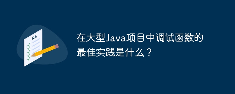 在大型Java项目中调试函数的最佳实践是什么？