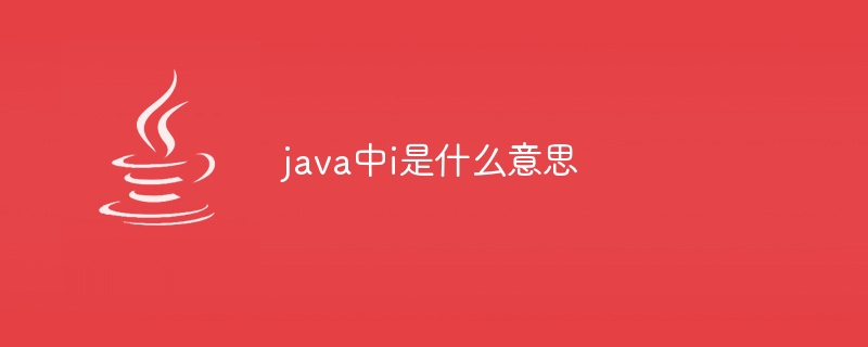 java中i是什么意思