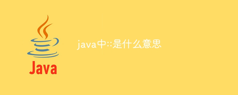 java中::是什么意思