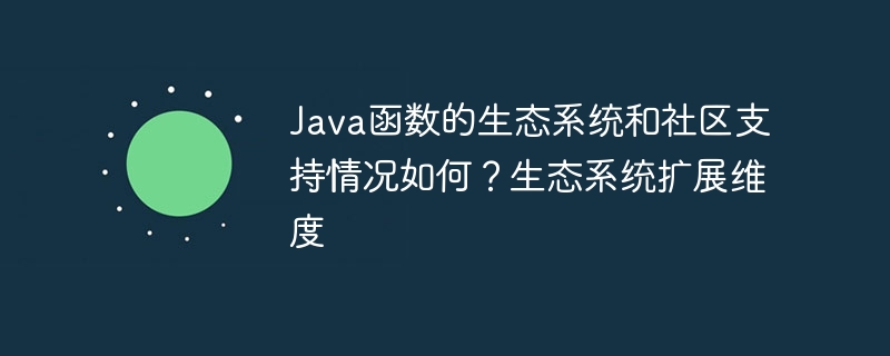 Java函数的生态系统和社区支持情况如何？生态系统扩展维度