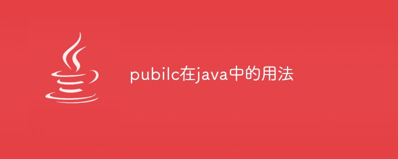 pubilc在java中的用法