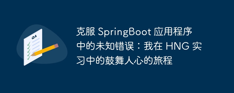 克服 springboot 应用程序中的未知错误：我在 hng 实习中的鼓舞人心的旅程