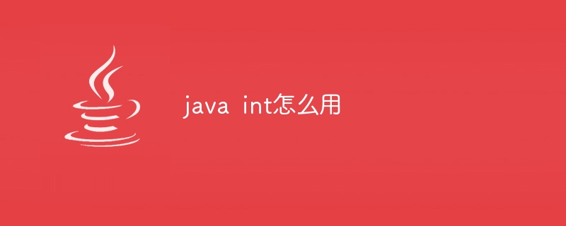 java int怎么用