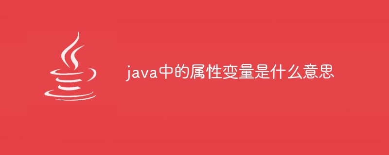 java中的属性变量是什么意思