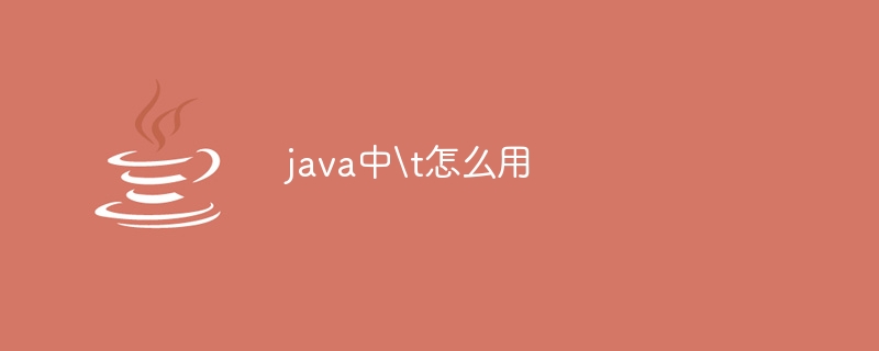 java中\t怎么用