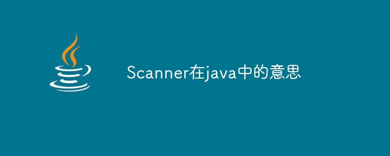 Scanner在java中的意思