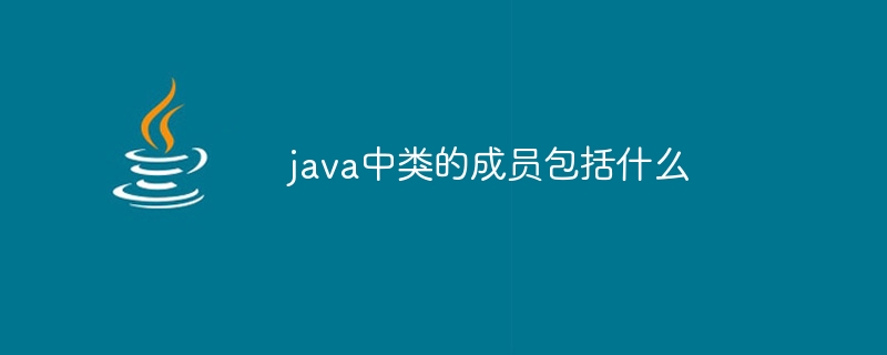 java中类的成员包括什么