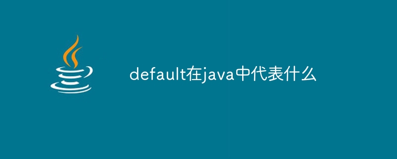 default在java中代表什么