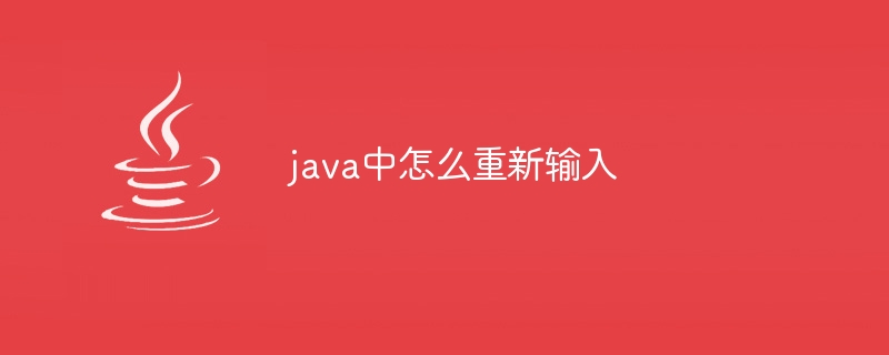 java中怎么重新输入