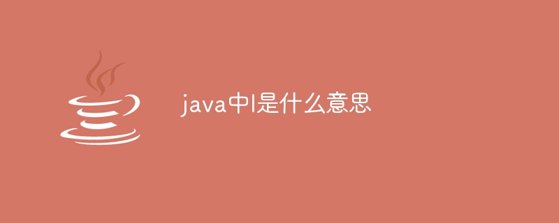 java中l是什么意思