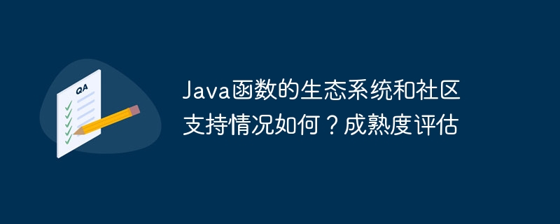 Java函数的生态系统和社区支持情况如何？成熟度评估